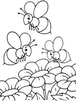 Albinuta