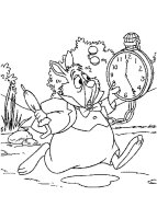 Alice in tara minunilor