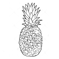 Ananas
