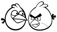 Angry birds