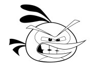 Angry birds