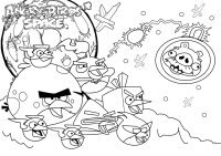 Angry birds
