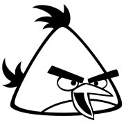 Angry birds