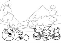 Angry birds