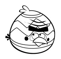 Angry birds