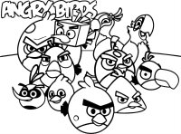 Angry birds