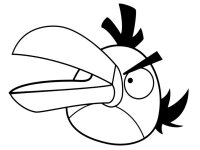 Angry birds