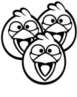 Angry birds