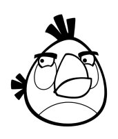 Angry birds