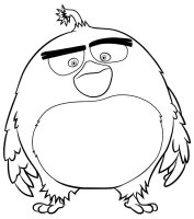 Angry birds