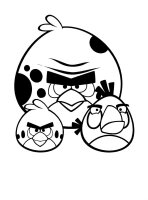 Angry birds