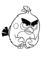 Angry birds