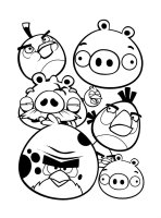 Angry birds
