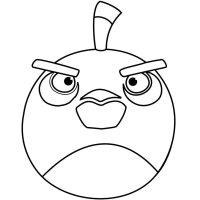 Angry birds
