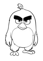 Angry birds