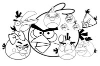 Angry birds