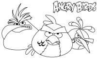 Angry birds