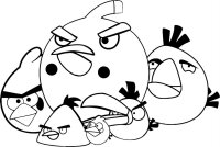 Angry birds