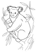 Animale salbatice