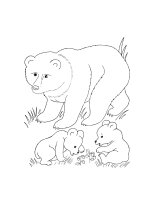 Animale salbatice