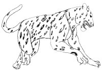 Animale salbatice