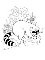 Animale salbatice