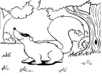 Animale salbatice