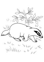 Animale salbatice