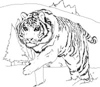 Animale salbatice