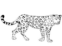 Animale salbatice