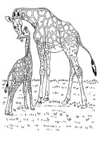 Animale salbatice