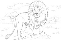 Animale salbatice