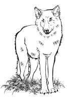 Animale salbatice