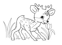 Animale salbatice