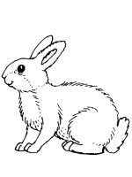 Animale salbatice