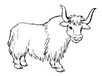 Animale salbatice