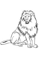 Animale salbatice