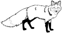 Animale salbatice