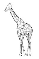 Animale salbatice