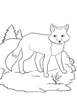 Animale salbatice