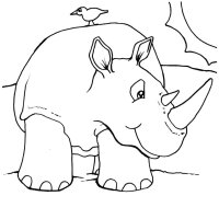 Animale salbatice