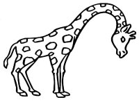 Animale salbatice