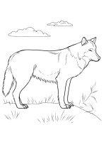 Animale salbatice