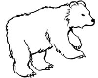 Animale salbatice