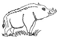 Animale salbatice