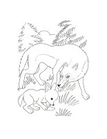 Animale salbatice