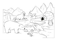 Animale de la polul nord