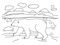 Animale de la polul nord