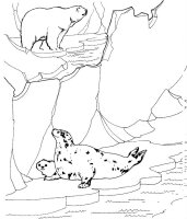 Animale de la polul nord