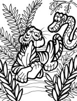 Animale din jungla